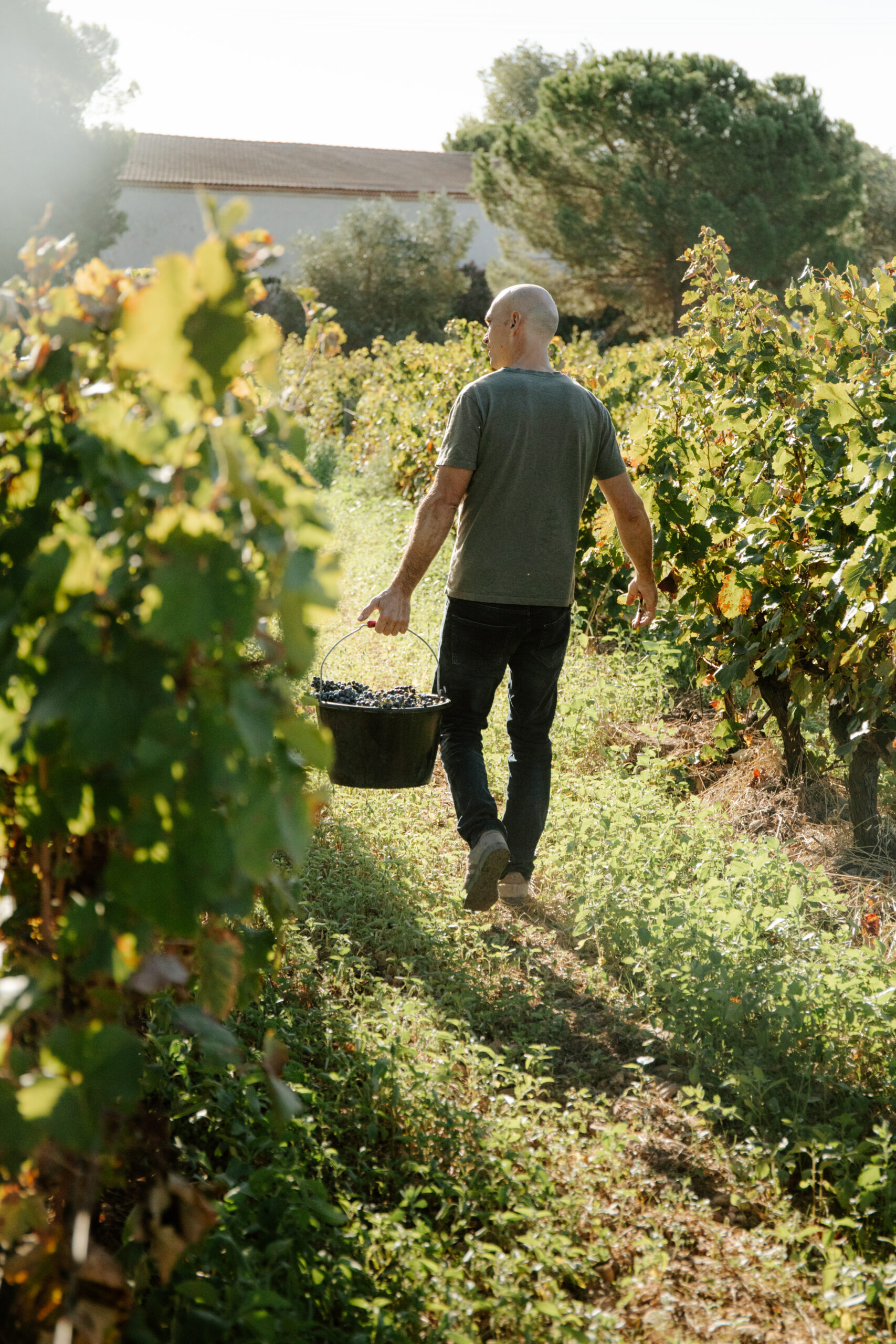 Equipe domaine viticole